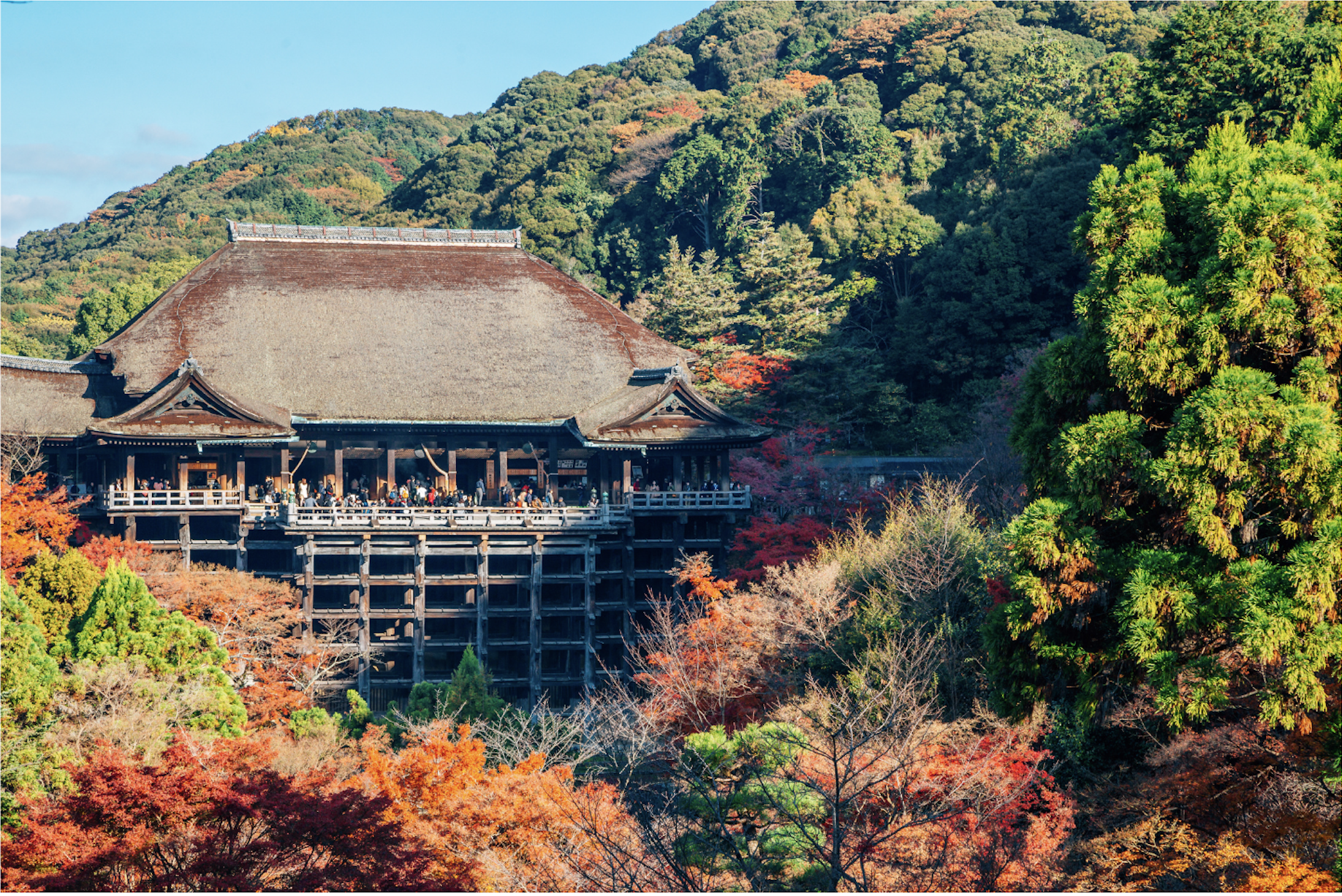 Japanese temple during autumn