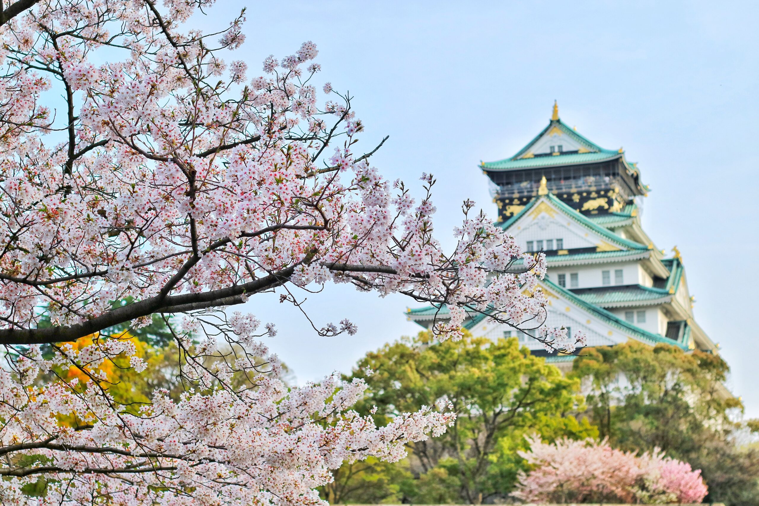 Osaka Castle during cherry blossom season